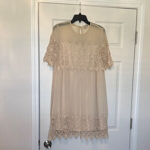 Miss Selfridge Lace & Sheer Dress